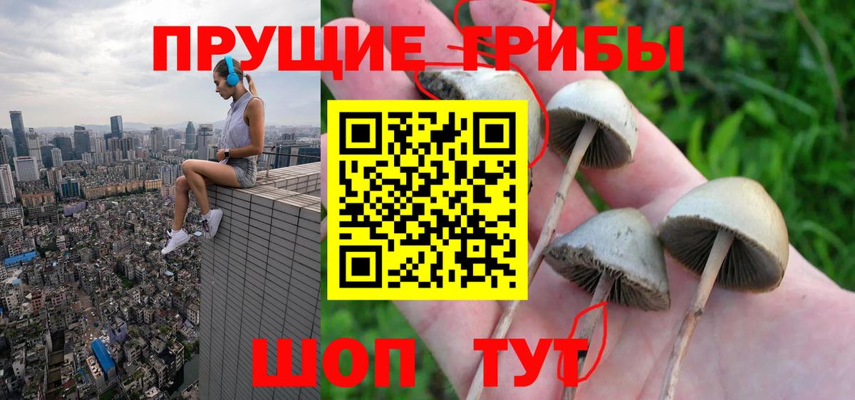 Галлюциногенные грибы Magic Shrooms  Вход с VPN  Бердск 