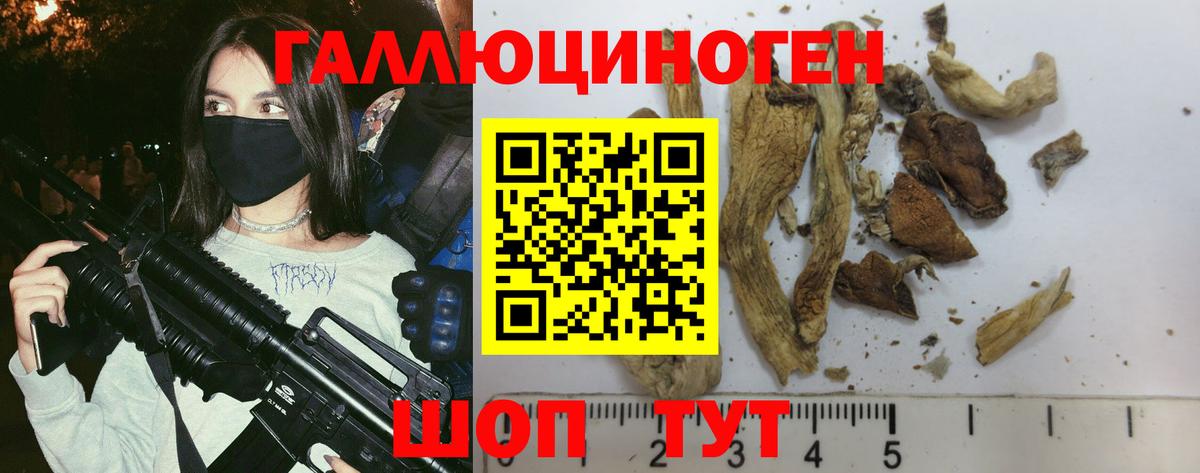 Галлюциногенные грибы Cubensis Бердск